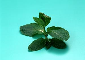 六本木にあるホストクラブ風のラウンジ